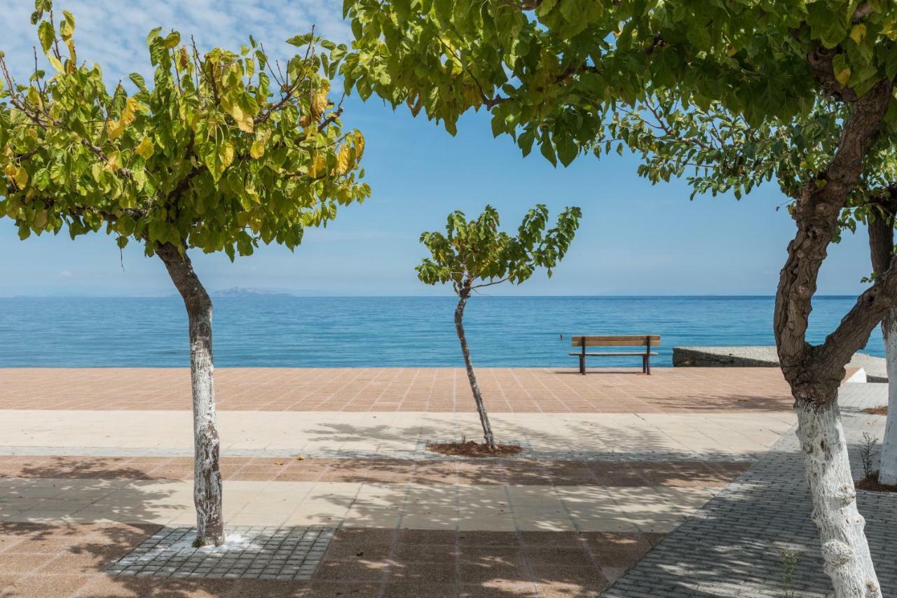 Areti Apartments Poros  Zewnętrze zdjęcie